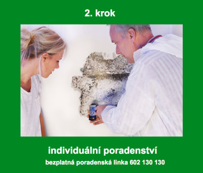 Individuální poradenství